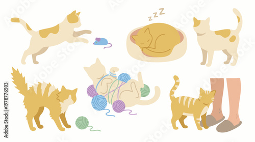 Cute cat illustrations showing various poses, actions, and emotions