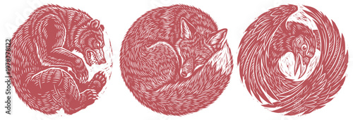 Vector set of three curled sleeping animals—a bear, fox and crow—forming circular shapes. Cozy woodland wildlife illustration with detailed textured linework.