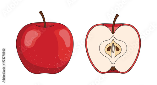 A vibrant red glossy apple stands beside a detailed vertical cross-section revealing its pale interior flesh and dark seeds against a plain white background.