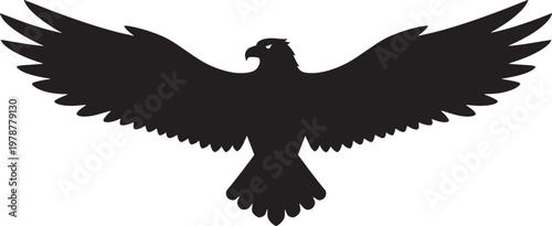 Black silhouette of an eagle with wings spread with black and white