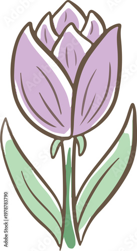 Simple floral flower heads pretty wildflower outline clipart vector illustration