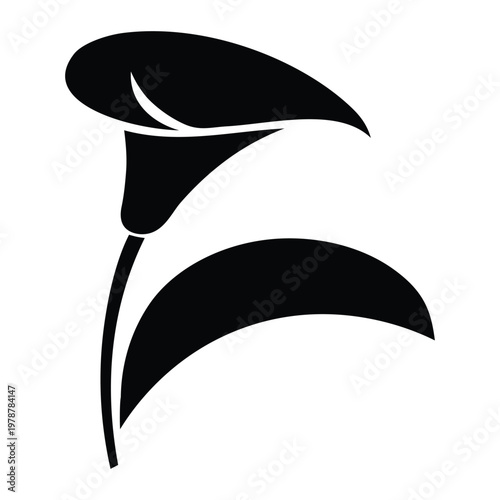 Elegant calla lily illustration in a minimalist black and white style