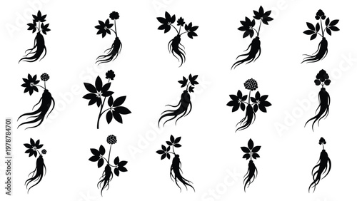 Collection of black ginseng plant silhouettes featuring roots, leaves, and berry clusters on a white background.