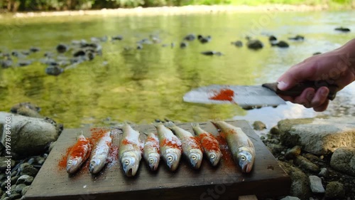 Close up of unknown man prepares fish on wooden cutting board near wild river at summer time. Cooking outdoors concept