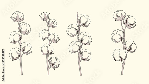 Elegant hand drawn cotton branches with soft white bolls and dry leaves against a neutral light yellow background.