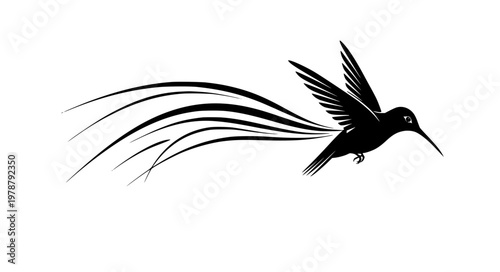 Hummingbird Motion Vector – Wing Blur Hovering Effect Icons
