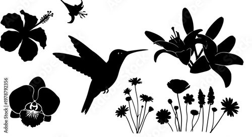 Hummingbird Floral Vector Set – Hibiscus Lily Orchid Silhouettes