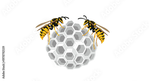 Two meticulously detailed yellow jackets perch on a small white hexagonal honeycomb structure featuring clean geometric cells against a stark white background.