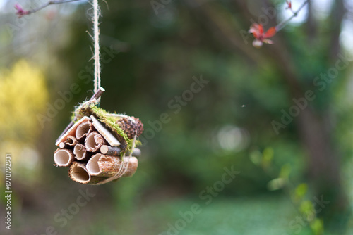 A handmade insect hotel constructed from bundled hollow bamboo tubes hangs suspended from a tree branch by natural jute twine. The eco-friendly habitat features various sizes of reed tubes and