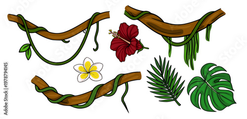 Tropical Jungle Banner Vector Illustration with Vines, Hibiscus, Frangipani, and Palm Leaves