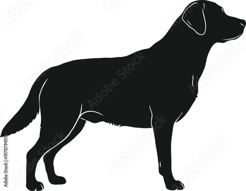Black Labrador Retriever Silhouette Vector – Standing Lab Dog Profile for Logo and Pet Icon