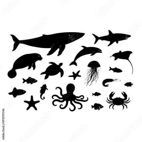 black silhouettes of various sea creatures on white background