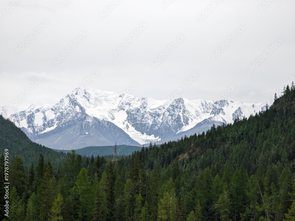 Fototapeta premium Snow covered mountain peaks rising behind a thick green forest under a cloudy gray sky