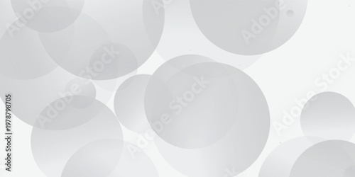 Elegant soft gray circles float across a minimalist background, refined smooth curves with soft lighting, creative background