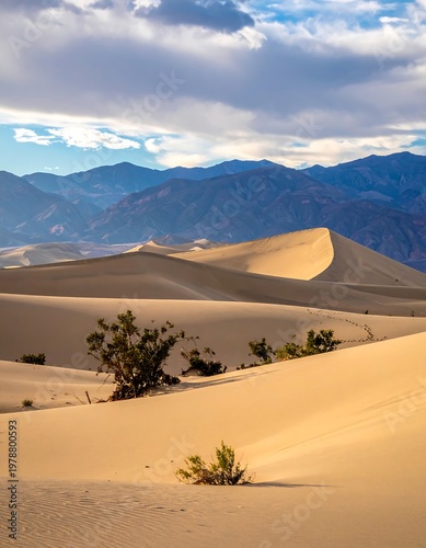 Vast dunes roll towards mountains under a cloudy sky. Small desert plants dot the foreground, catching the warm light