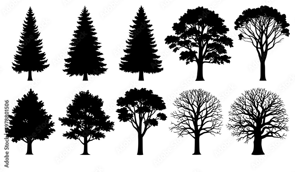 Fototapeta premium Forest tree silhouettes vector collection with pine fir and deciduous trees