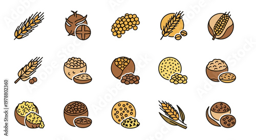 Variety of wheat grains and seeds.