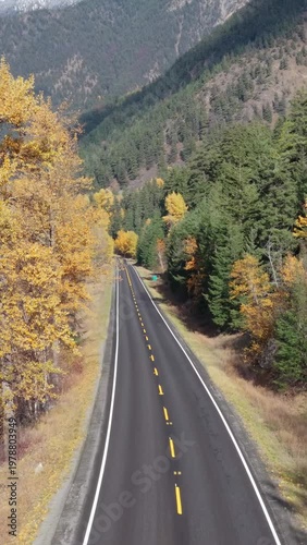 Empty Road Through Vibrant Autumn Forest in British Columbia, Canada