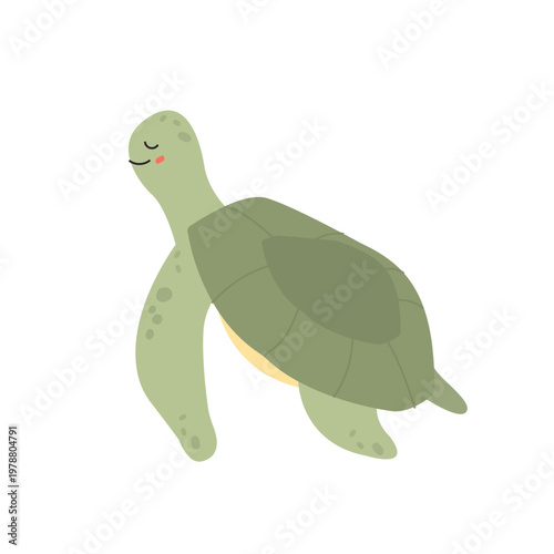 Sea Turtle Vector Illustration Isolated on White Background.