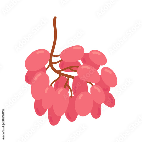 Pink grape on twig in flat cartoon design. Vector illustration isolated.