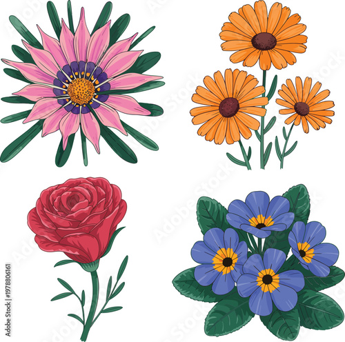 Beautiful floral collection set with pink gazania, orange daisy, red rose, and blue primrose flowers, colorful botanical vector illustrations for garden themed stickers, pattern design, and spring gre