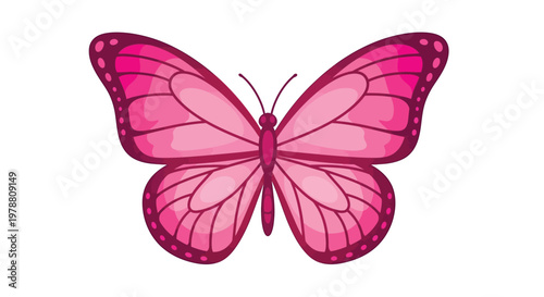 A vibrant pink butterfly with detailed wing patterns is shown in a symmetrical cartoon style