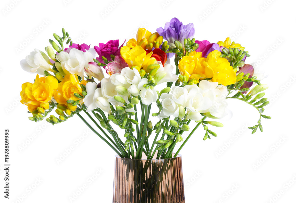 Obraz premium Bouquet of colorful freesia flowers in vase isolated on white