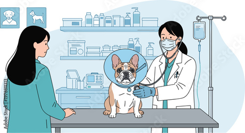 Veterinarian Examining Dog in Clinic, with Medical Staff and Pet Care Equipment for Animal Healthcare and Veterinary Services