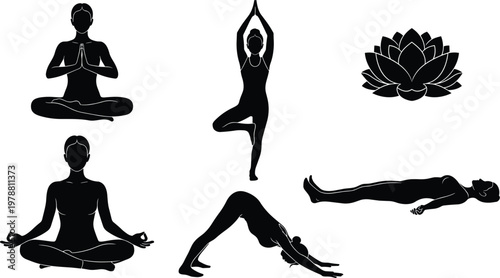 Yoga Pose Vector Set Featuring Different Stances, Meditation, Lotus, and Flexibility Illustrations for Fitness, Health, and Mindfulness Designs