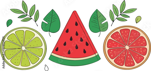 Tropical fruit collection with watermelon pineapple banana citrus slices and leaves fresh summer food vector illustration set