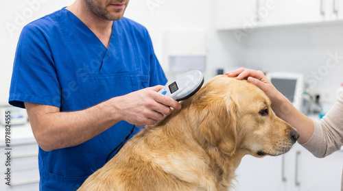 Veterinarian scans golden retriever with microchip reader during clinic visit showing pet identification preventive care animal health ownership responsibility veterinary service safety check