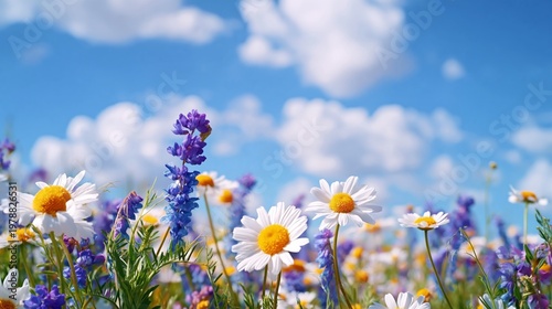 Colorful Flowers Bloom Under a Blue Sky With Clouds in a Field During Sunny D...