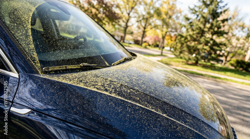 Pollen covering a black car parked outdoors in spring season  