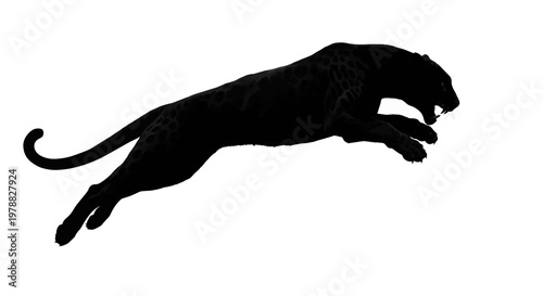 Leaping Black Panther Silhouette Captured In Midair.