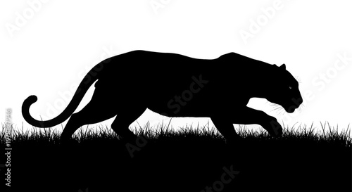 Silhouette of a Panther Walking in Profile.