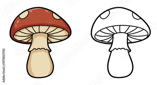 Colorful mushroom illustration with outline for coloring activity  