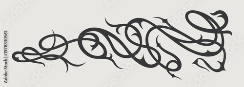 Vector design element of classic baroque ornaments with elegant scrollwork, medieval details.