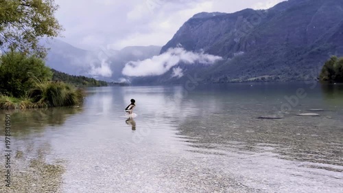 lake bohinj with mountains background (aerial view of famous alpine travel destination in slovenia) boat kayaking scenic european tourism getaway (julian alps, europe) rain view scenic landscape