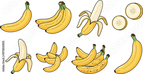 Banana fruit vector set featuring whole, peeled, sliced, and bunch bananas in hand drawn cartoon style illustration