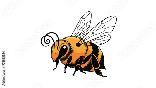 Detailed illustration of a honey bee with its wings spread and stinger visible, showcasing its classic orange and black striped body.