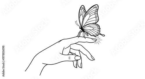 A hand gently holding a butterfly.