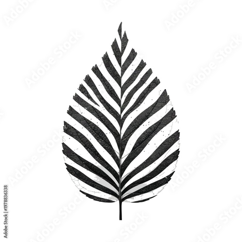 Elegant monochrome illustration of a fern leaf with parallel venation