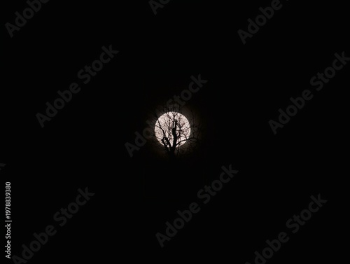 Fotografie Nighttime silhouette scene