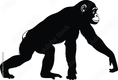 chimpanzee walking silhouette black primate animal illustration simple design