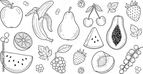 Fruit line drawing vector illustration collection featuring apple, banana, pear, cherries, strawberries, papaya, watermelon, orange, grapes