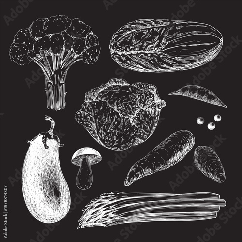 Drawn on chalkboard set of vegetables. Black and white collection of vegetables. Engraving style broccoli, cauliflower, savoy cabbage, lettuce, eggplant, mushroom, sweet potato, asparagus, peas