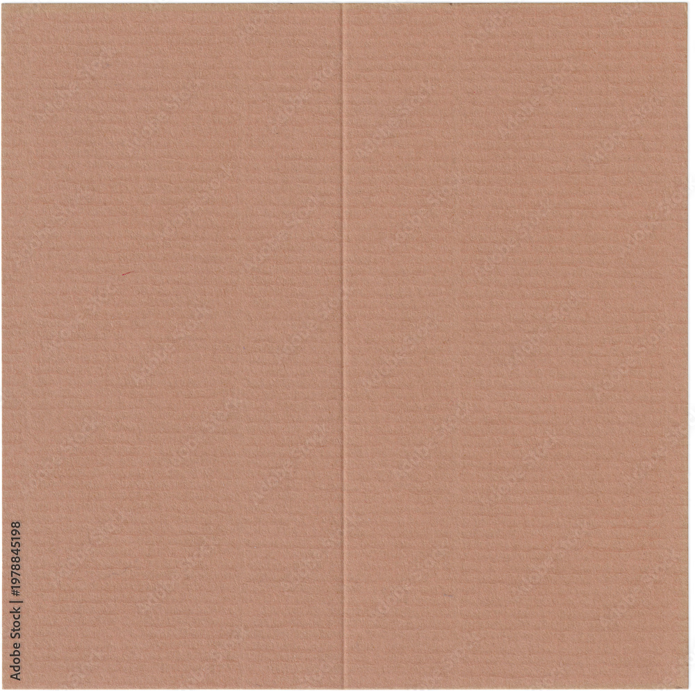 Fototapeta premium Kraft Paper Carton