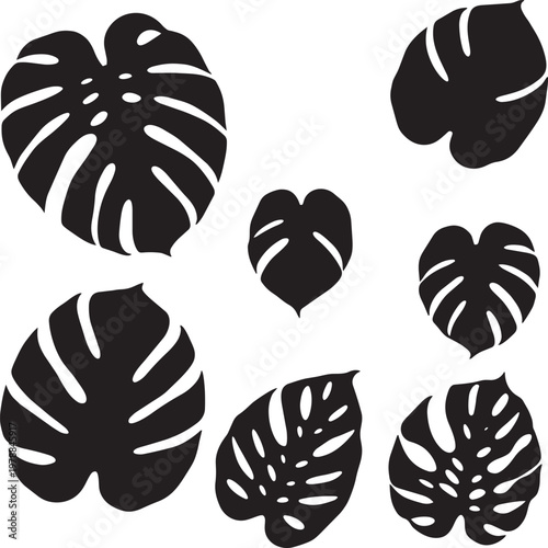 Monstera leaves illustration, silhouette pattern in outline style for leaf and dark