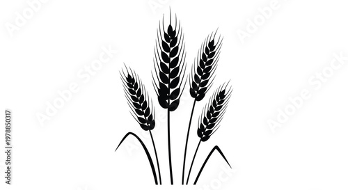 A striking black and white image depicts several stalks of wheat against a plain background creating a stark silhouette high quality