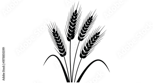 A striking black and white illustration depicts several wheat stalks gracefully arranged presented as a silhouette high quality professional detailed modern